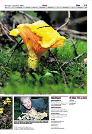 aftenposten_aften-20090901_000_00_00_023.pdf