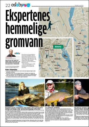 aftenposten_aften-20140605_000_00_00_022.pdf