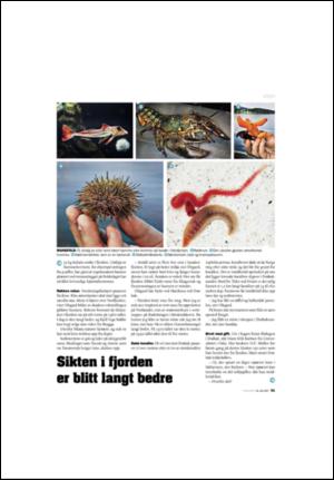 aftenposten_amagasinet-20070720_000_00_00_041.pdf