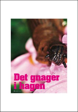 aftenposten_amagasinet-20070727_000_00_00_028.pdf