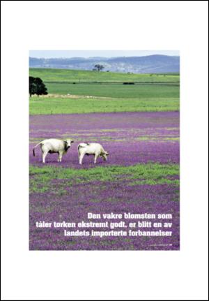 aftenposten_amagasinet-20071207_000_00_00_025.pdf