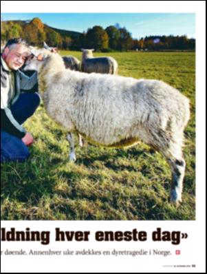 aftenposten_amagasinet-20081128_000_00_00_021.pdf