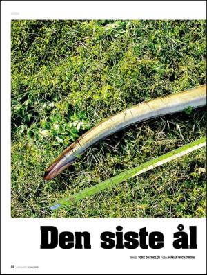 aftenposten_amagasinet-20090731_000_00_00_032.pdf