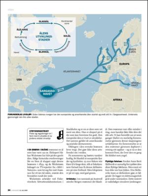 aftenposten_amagasinet-20090731_000_00_00_034.pdf