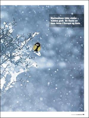 aftenposten_amagasinet-20100115_000_00_00_043.pdf