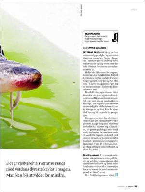 aftenposten_amagasinet-20100611_000_00_00_035.pdf