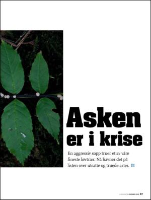 aftenposten_amagasinet-20101105_000_00_00_057.pdf