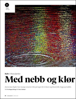 aftenposten_amagasinet-20150401_000_00_00_050.pdf