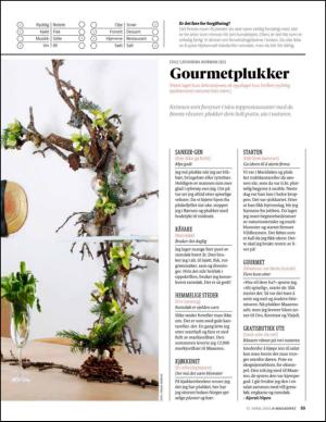 aftenposten_amagasinet-20150417_000_00_00_055.pdf