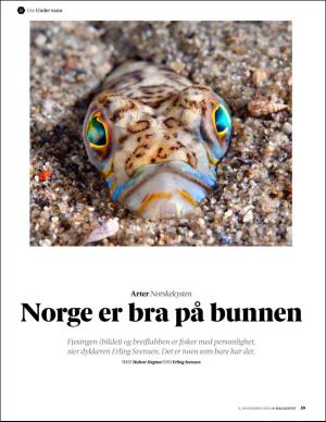 aftenposten_amagasinet-20161104_000_00_00_039.pdf