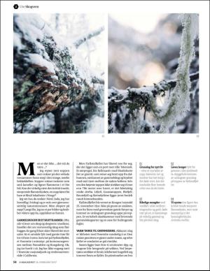 aftenposten_amagasinet-20170224_000_00_00_054.pdf