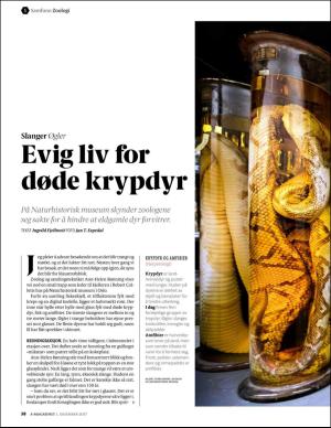 aftenposten_amagasinet-20171201_000_00_00_038.pdf