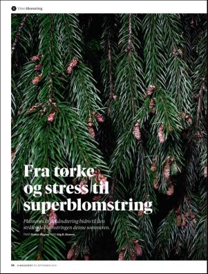 aftenposten_amagasinet-20190920_000_00_00_054.pdf