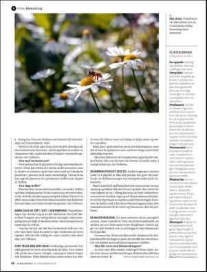 aftenposten_amagasinet-20190920_000_00_00_058.pdf