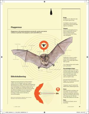 aftenposten_amagasinet-20200403_000_00_00_037.pdf