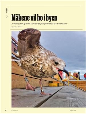 aftenposten_amagasinet-20200508_000_00_00_026.pdf