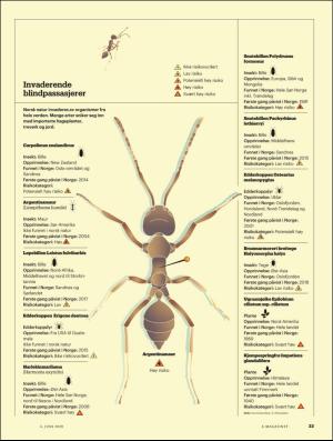 aftenposten_amagasinet-20200605_000_00_00_033.pdf