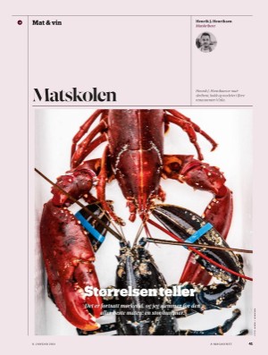 aftenposten_amagasinet-20210108_000_00_00_041.pdf