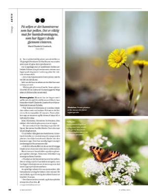 aftenposten_amagasinet-20210409_000_00_00_058.pdf