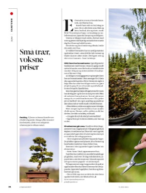 aftenposten_amagasinet-20210709_000_00_00_034.pdf