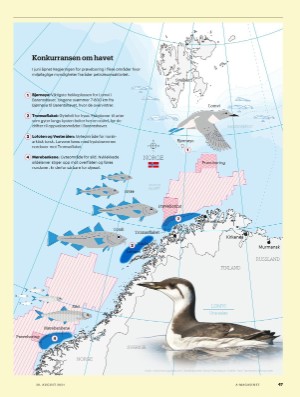 aftenposten_amagasinet-20210820_000_00_00_047.pdf