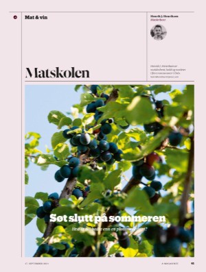 aftenposten_amagasinet-20210917_000_00_00_061.pdf