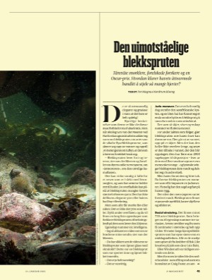 aftenposten_amagasinet-20220121_000_00_00_041.pdf