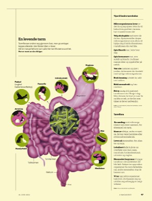 aftenposten_amagasinet-20220610_000_00_00_047.pdf