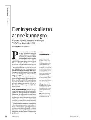 aftenposten_amagasinet-20240823_000_00_00_036.pdf