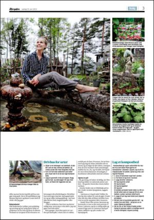 aftenposten_bilag-20130615_000_00_00_003.pdf