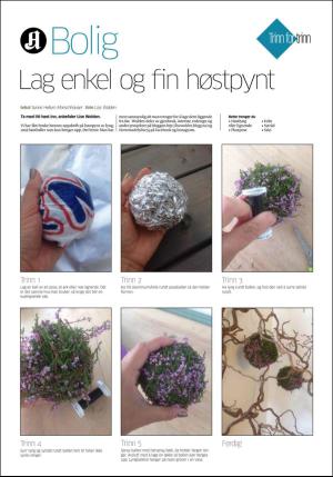 aftenposten_bilag-20161001_000_00_00_020.pdf