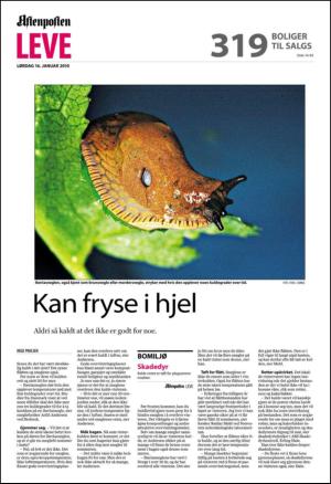 aftenposten_bolig-20100116_000_00_00_096.pdf