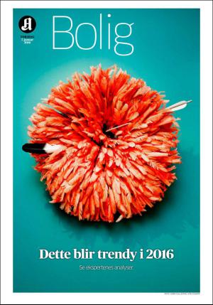 aftenposten_bolig-20160107_000_00_00.pdf