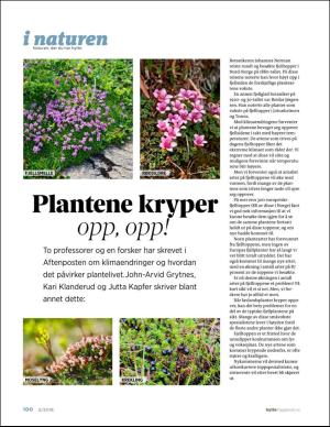 aftenposten_hytte-20180517_000_00_00_100.pdf