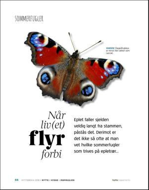 aftenposten_hytte-20180620_000_00_00_066.pdf