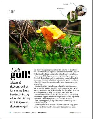 aftenposten_hytte-20180620_000_00_00_076.pdf