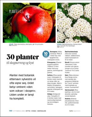 aftenposten_hytte-20180620_000_00_00_160.pdf