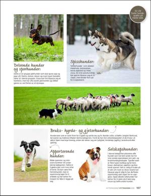 aftenposten_hytte-20190406_000_00_00_167.pdf