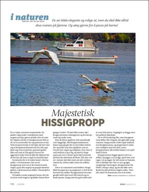 aftenposten_hytte-20190511_000_00_00_116.pdf