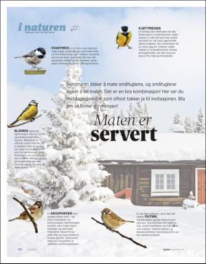 aftenposten_hytte-20200117_000_00_00_090.pdf