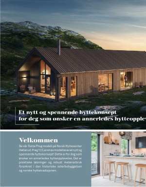 aftenposten_hytte-20200417_000_00_00_004.pdf