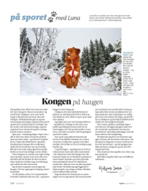 aftenposten_hytte-20200614_000_00_00_120.pdf