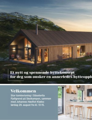 aftenposten_hytte-20200809_000_00_00_004.pdf