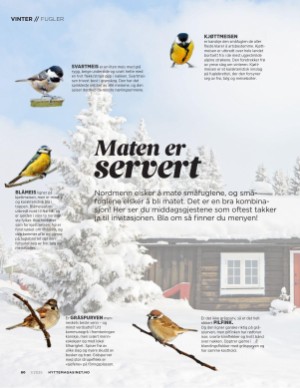 aftenposten_hytte-20250212_000_00_00_080.pdf