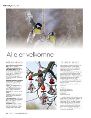 aftenposten_hytte-20250212_000_00_00_082.pdf