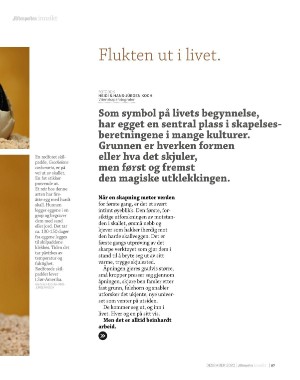 aftenposten_innsikt-20201122_000_00_00_087.pdf