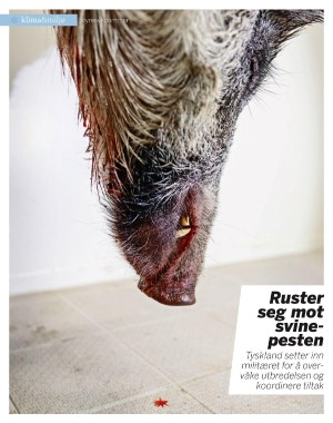 aftenposten_innsikt-20210131_000_00_00_064.pdf