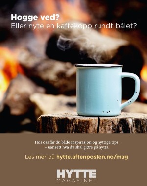 aftenposten_innsikt-20211031_000_00_00_043.pdf