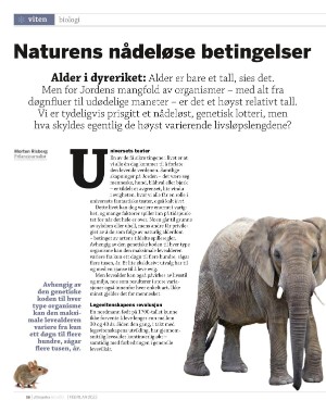 aftenposten_innsikt-20220130_000_00_00_058.pdf