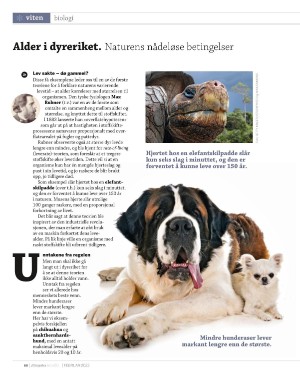 aftenposten_innsikt-20220130_000_00_00_060.pdf